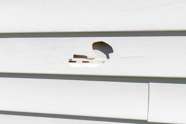 Best Insulated Siding Installation  in Lauderdale Lakes, WI